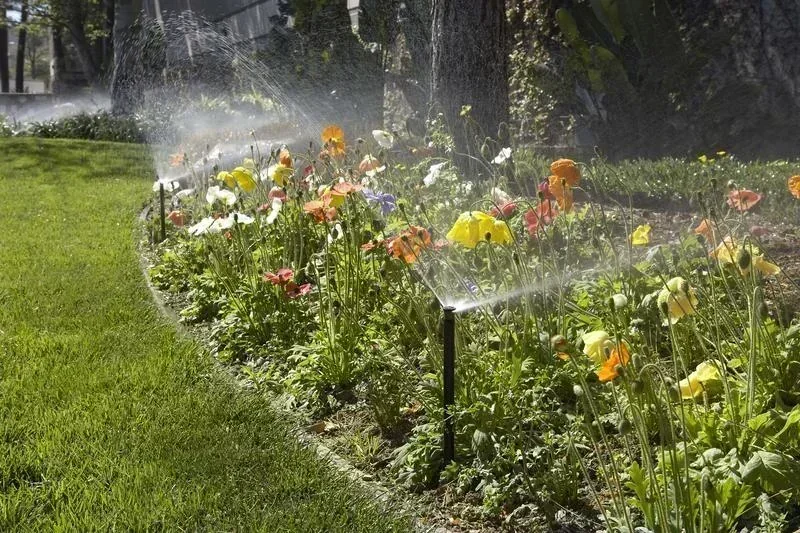 IrriBloom™ -Spray - Système d'Aspersion pour Massifs