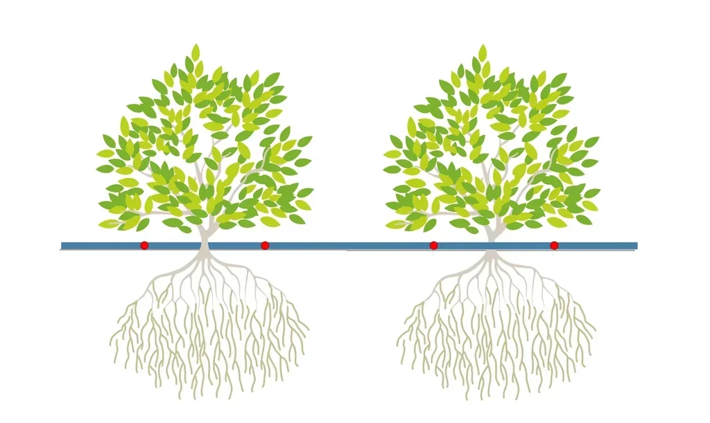 IrriBloom™ -Drip - Système d'Irrigation Goutte-à-Goutte pour Massifs