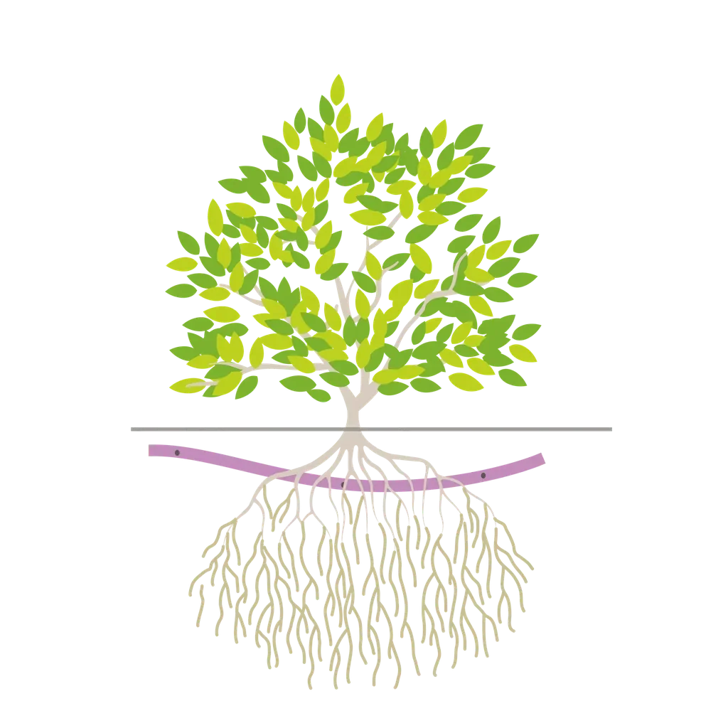 IrriBloom™ -Sub - Système de Subirrigation pour Massifs