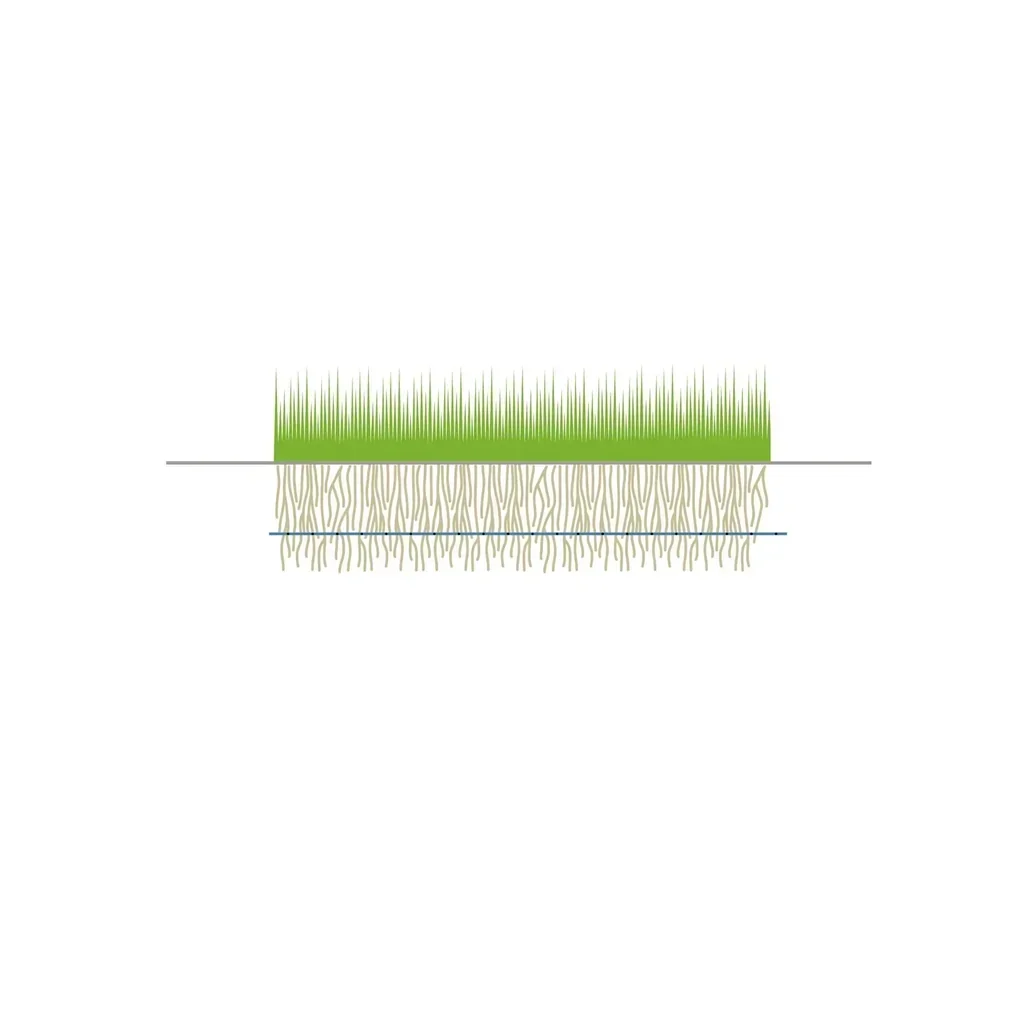 IrriGrass™ -Sub - Système de Subirrigation pour Pelouses