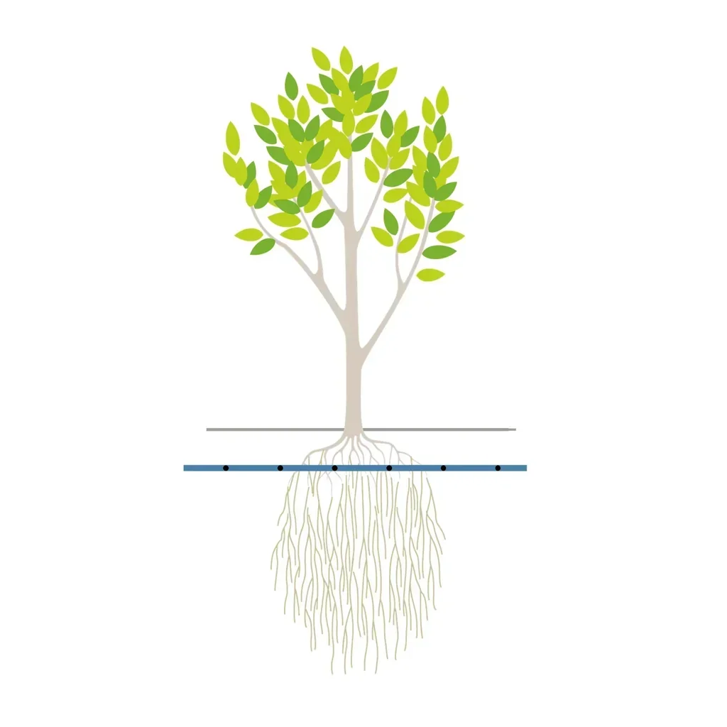 IrriTree™ -Sub - Système de Subirrigation pour Arbres