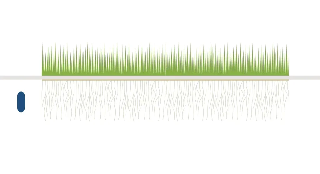 SoilSense™ LR - Coffret de Suivi de l'Humidité du Sol