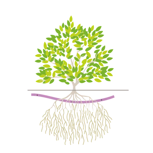 IrriBloom™ -Sub - Système de Subirrigation pour Massifs