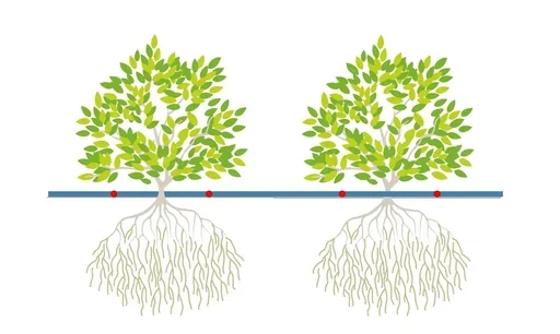 IrriHedge™ - Drip - Système d'Irrigation Goutte-à-Goutte pour Haies